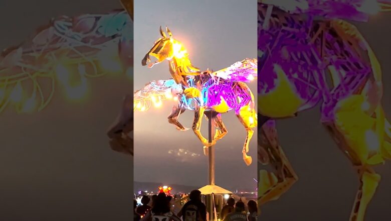 The neon lights of Burning Man’s art installations light up the desert #Shorts