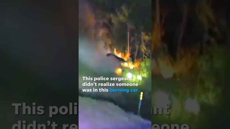 Watch the dramatic moment police rescues driver in burning car #Shorts