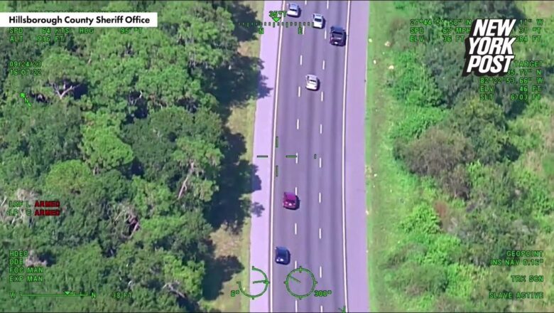 Wild footage shows Florida police ending 15-year-old’s wild joyride with PIT maneuver