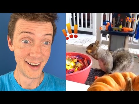 [2 HOUR] Try Not to Laugh Challenge! | AFV Live Funny Videos