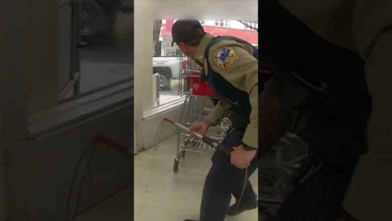 Bodycam: Hungry bear cub wrangled inside supermarket #Shorts