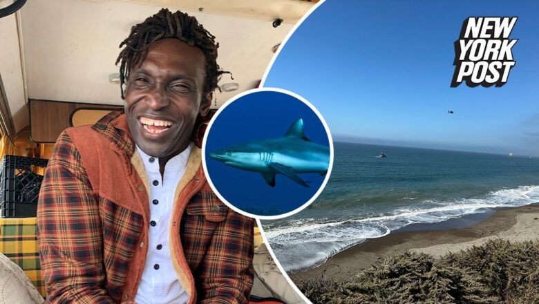 Calif. shark victim named as Felix Louis N’Jai, tech CEO and kite surfer with Olympic aspirations