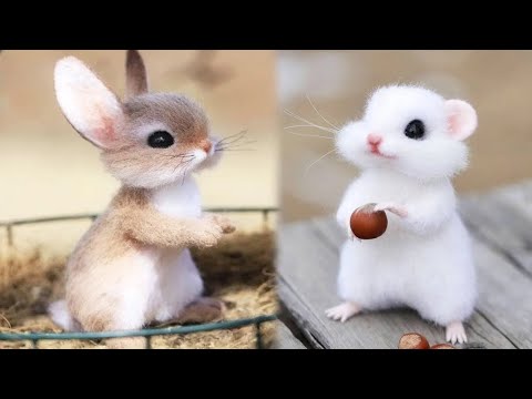 Cute Baby Animals Videos Compilation | Funny and Cute Moment of the Animals #2 – Cutest Animals 2023