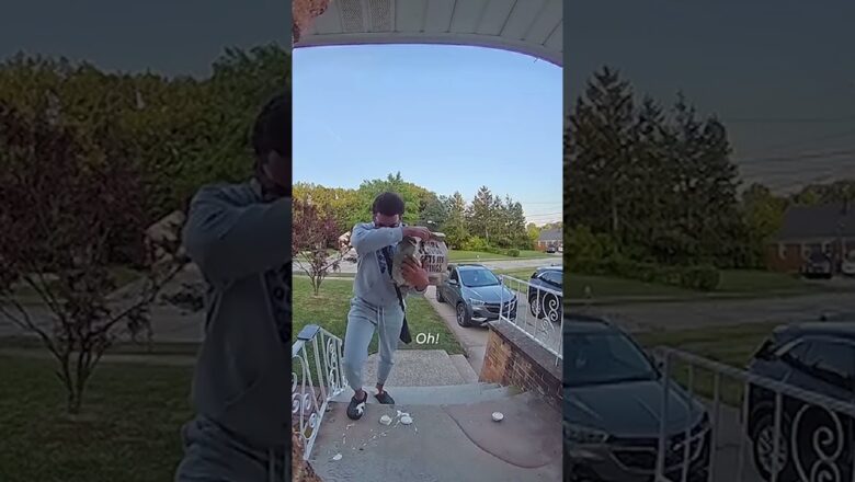Doorbell camera catches dramatic reaction to food fail #Shorts