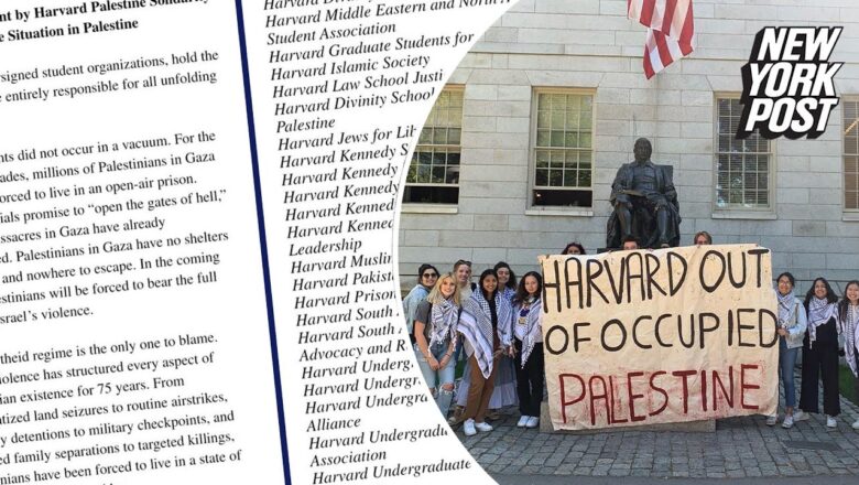 Harvard students take back support for letter attacking Israel as some CEOs look to blacklist them