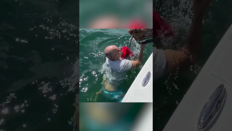 Heroic dad rescues a tangled sea turtle  | Humankind #shorts #goodnews