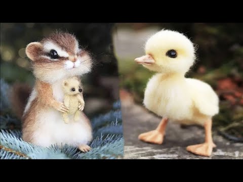 New Cute Baby Animals Videos Compilation | Funny and Cute Moment of the Animals #6 – Cutest Animals