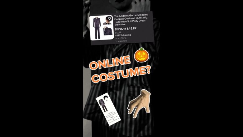 Online Halloween Costume And What Arrived