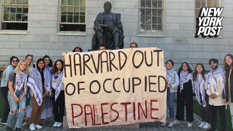 Thirty-one Harvard organizations blame Israel for Hamas attack: ‘Entirely responsible’