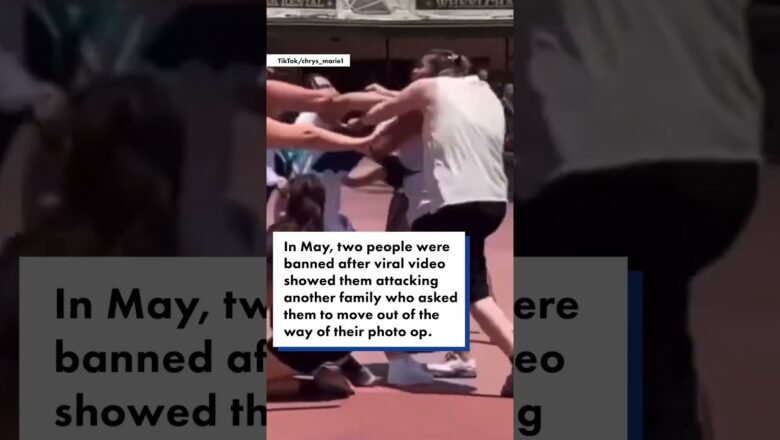 Wild Disneyland brawl erupts with kids, strollers caught in the middle #shorts