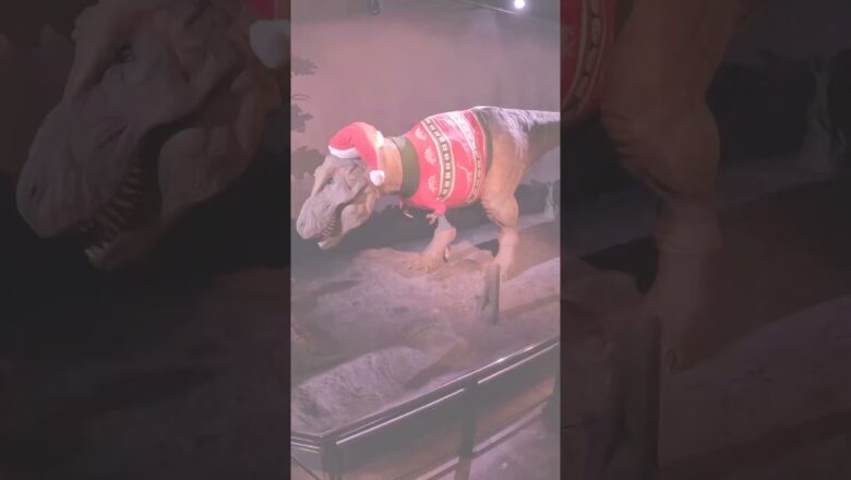 Animatronic dinosaur gets custom sweater for holiday season # Shorts