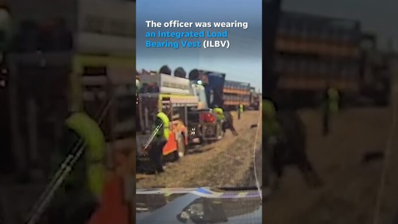 Bull on the loose charges officer, stomps on him after livestock truck overturns #Shorts