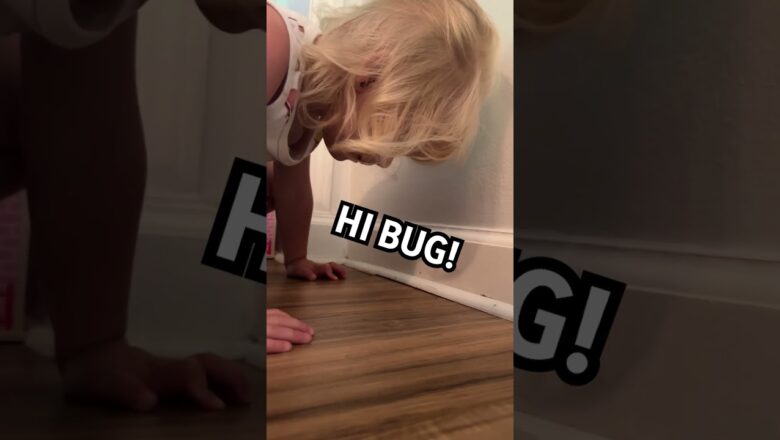 Excited toddler introduces herself to ants | Humankind #shorts #goodnews