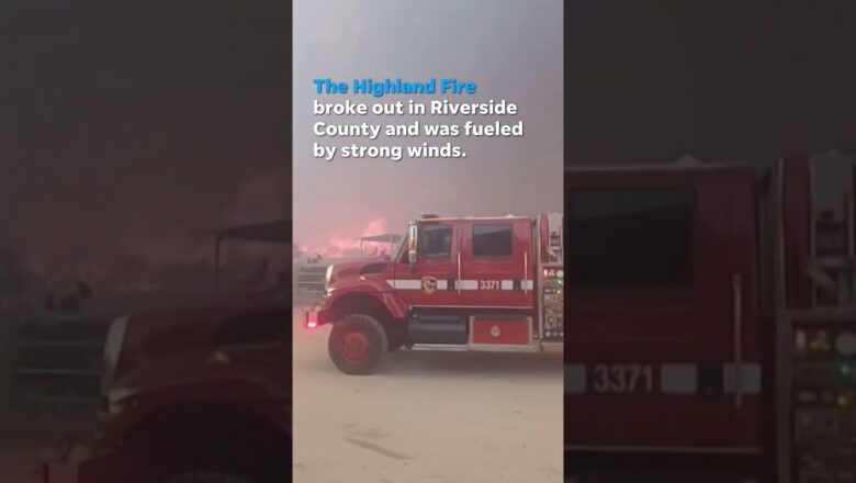Firefighters battle wildfire fueled by strong winds in California #Shorts