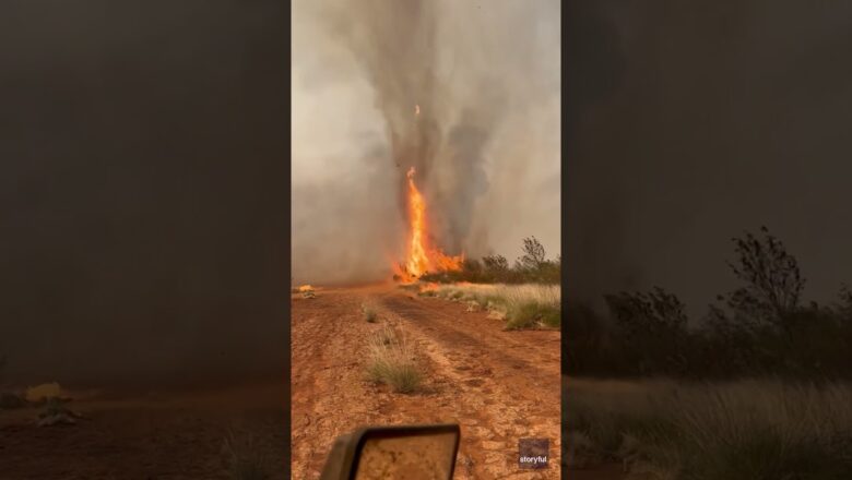 ‘Firenado’ rips through farmland amid multiple bushfires #Shorts