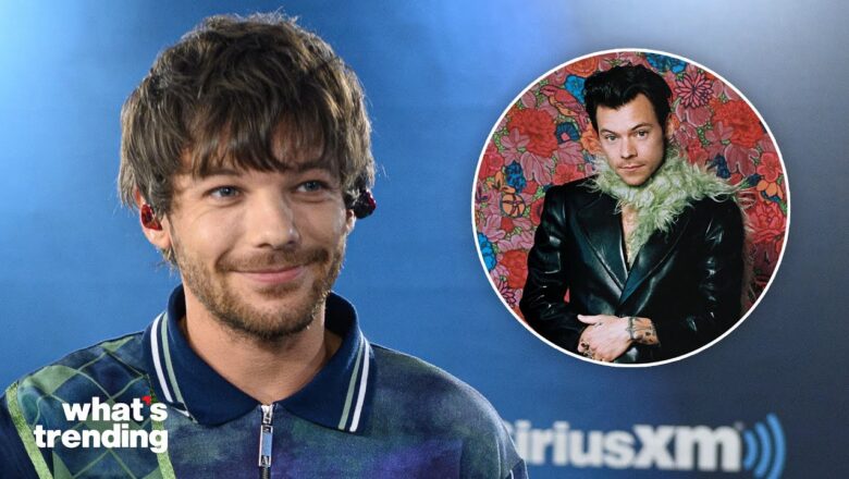 Louis Tomlinson SLAMS Larry Stylinson Shippers