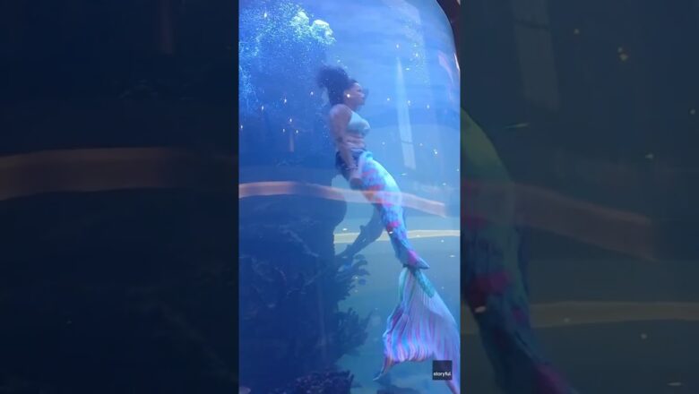 Mermaid’s tail gets caught on reef while trying to reach the surface #Shorts