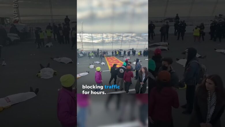 Protesters block traffic on Bay Bridge, call for ceasefire in Gaza #Shorts