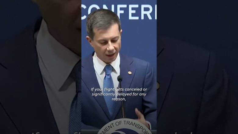 Secretary Buttigieg says holiday travel season will be record-breaking #Shorts