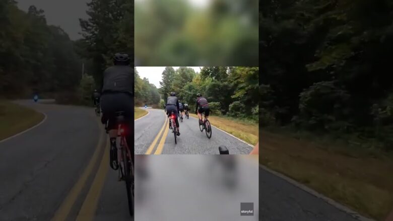 Startled cyclist nearly gets hit by deer after it jumps across road #Shorts