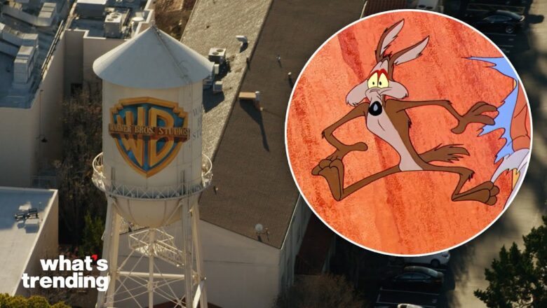 Warner Bros REVERSES ‘Coyote vs ACME’ Decision After Getting Roasted