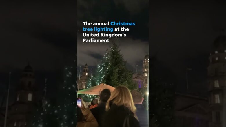 Christmas tree fail: UK Parliament tree only lights up halfway #Shorts