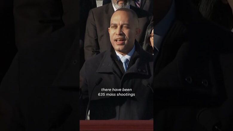 Hakeem Jeffries remembers Sandy Hook shooting with focus on gun laws  #Shorts