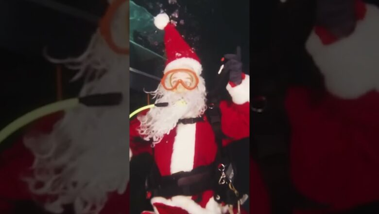 Santa visits sea creatures on his ‘nice’ list #Shorts