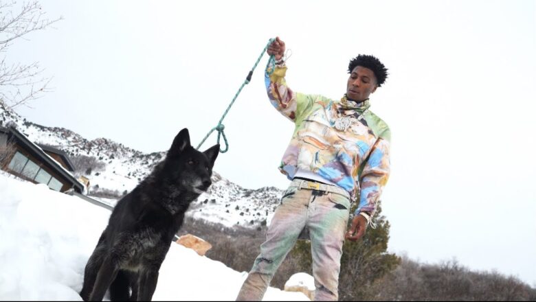 YoungBoy Never Broke Again – Wolf Cry (Official Music Video)