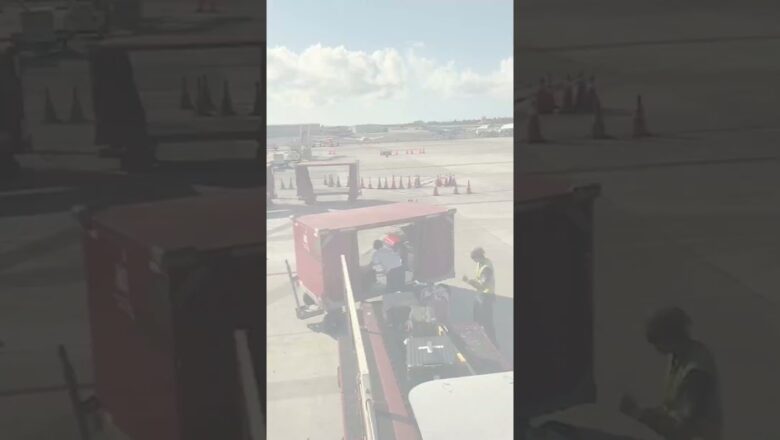 Pilot praised for assisting in loading luggage at short staffed airport #Shorts