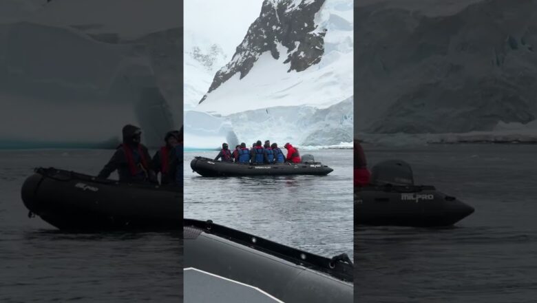 USA TODAY captures once-in-a-lifetime expedition in Antarctica #Shorts