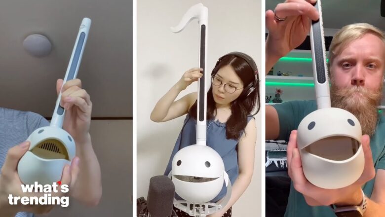 Behind The BIZARRE Instrument Taking Over TikTok