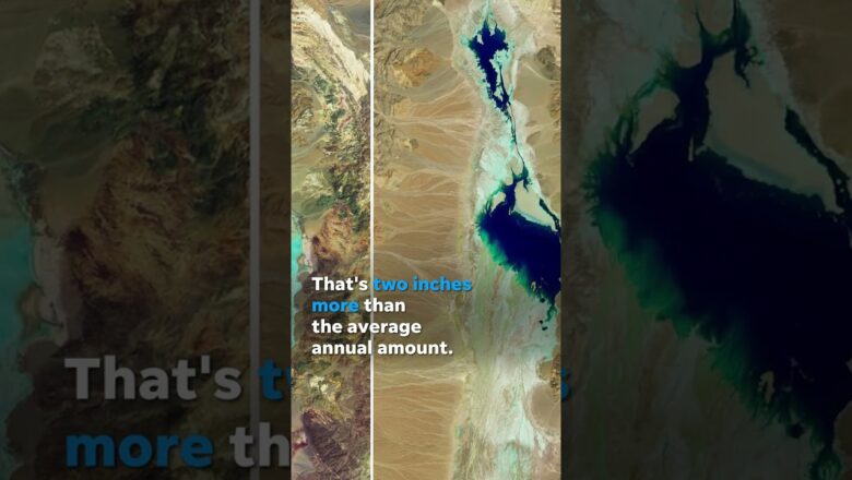 Lake forms in notoriously dry Death Valley attracting kayakers #Shorts