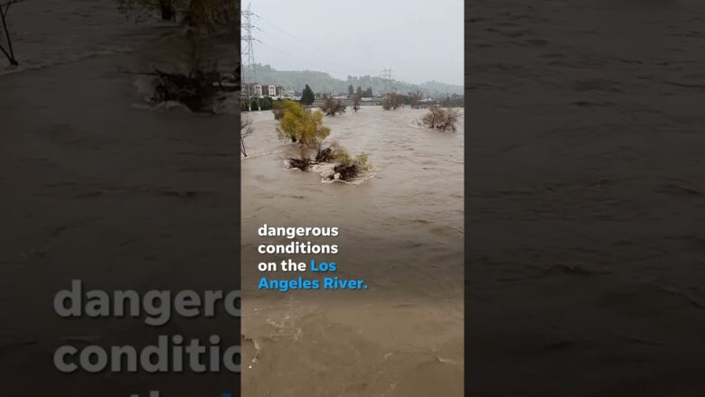 Los Angeles River rages after heavy rains hit Southern California #Shorts