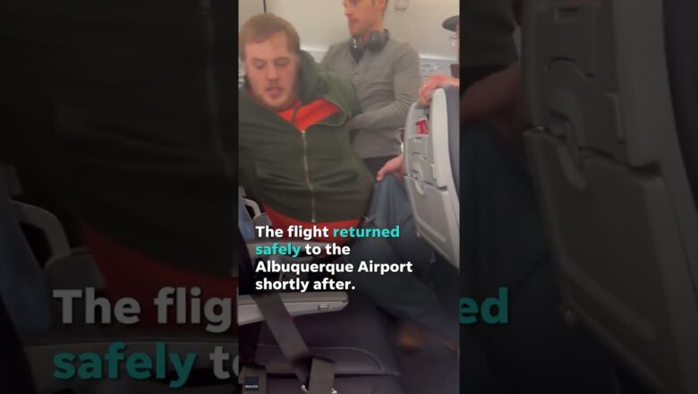 Man duct-taped by passengers after failing to open exit door on plane #Shorts