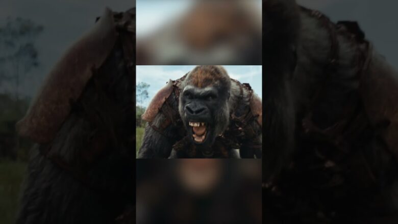 NEW ‘Kingdom of the Planet of the Apes’ Trailer
