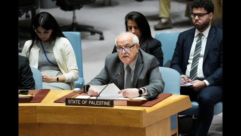 Palestinian UN ambassador slams U.S. veto on ceasefire | ‘Absolutely reckless’