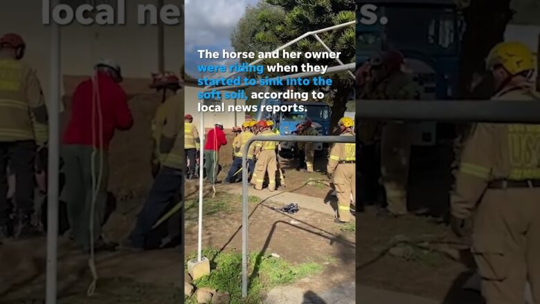 Watch: Firefighters rescue horse from sinkhole #Shorts