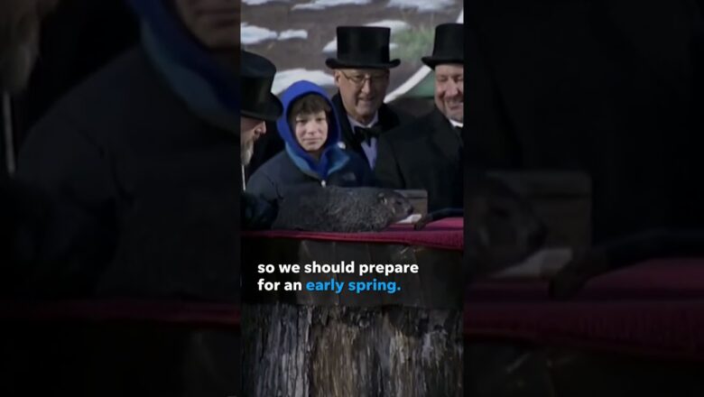 Watch: Punxsutawney Phil predicts an early spring for Groundhog Day #Shorts