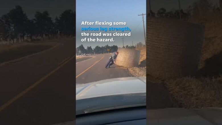 A highway patrol trooper shows muscle moving hay bale off road #Shorts