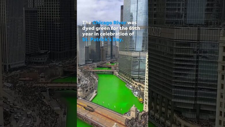 Chicago River dyed green in celebration of St. Patrick’s Day #shorts