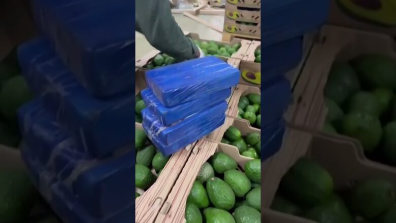 Colombian authorities find avocado shipment full of cocaine #Shorts