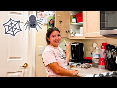 Funny Bug Videos | Insect Insanity [1 HOUR]