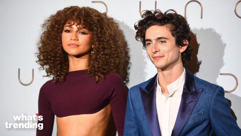 Timothée Chalamet and Zendaya Hope to Continue ‘Dune’ Franchise