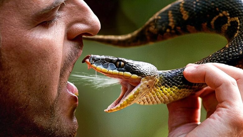 What If You Drank Snake Venom