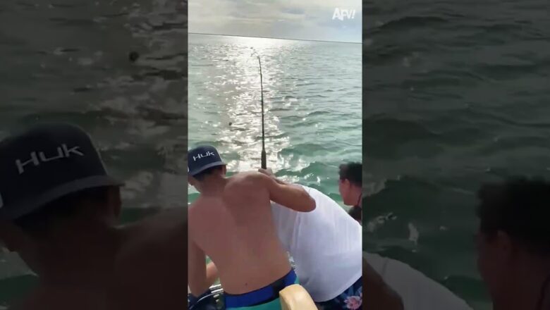 Who caught who here?  😂 #Shorts #Funny #fishing #Fail #Beach #boat