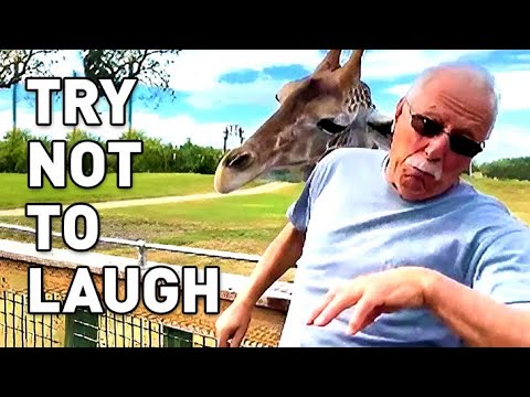 ? AFV Live NON-STOP LAUGHTER || Try Not To Laugh ? AFV Live ?