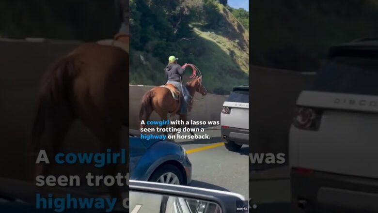 Cowgirl gallops down highway on horseback with lasso in hand #Shorts