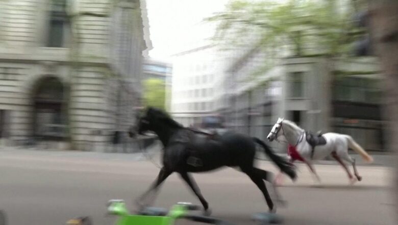 Four people injured after military horses escape, gallop through streets of London, England
