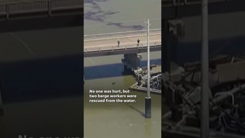 A barge hit a bridge connecting Galveston and Pelican Island in Texas, causing an oil spill #Shorts
